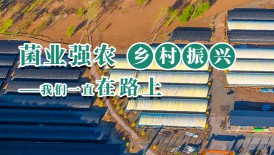 菌業強農 鄉村振興 我們一直在路上