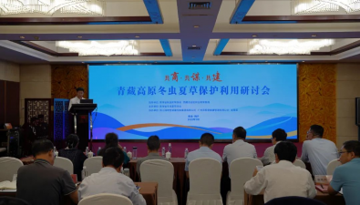 五省區(qū)聯(lián)手守護(hù)“軟黃金”，青藏高原冬蟲夏草保護(hù)刻不容緩！